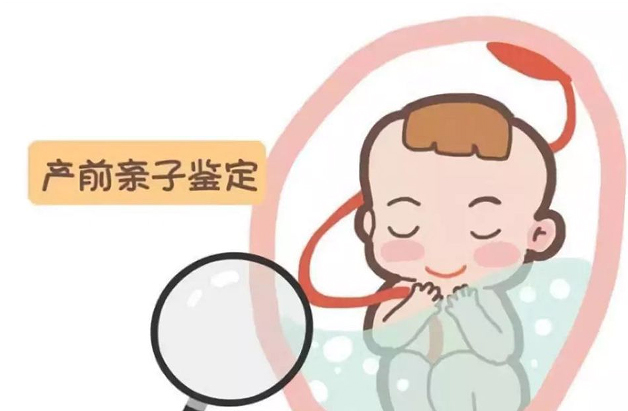 黔西南怀孕4个月能做无创怀孕亲子鉴定吗,黔西南办理无创孕期亲子鉴定收费多少